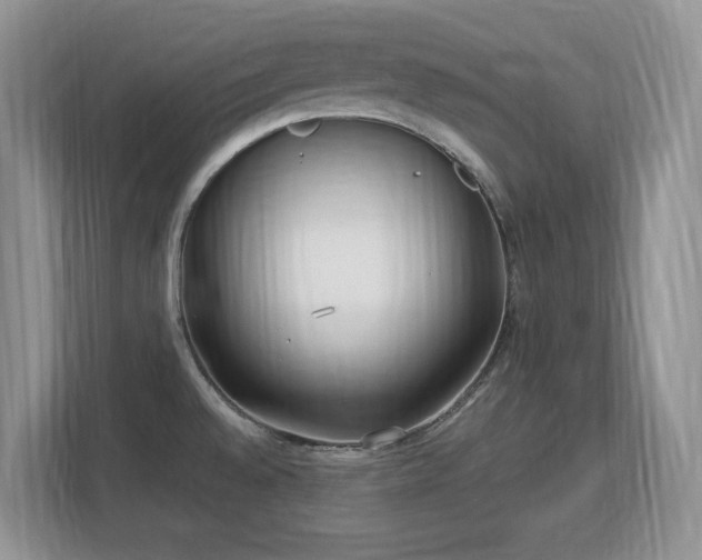 X0000113151528200909110944