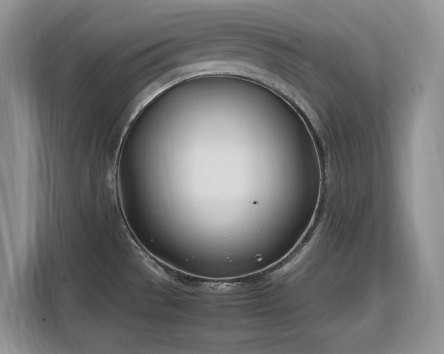 X0000113151529200909110944