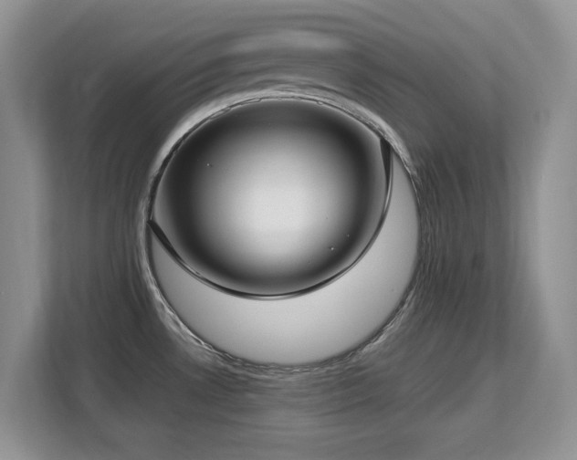 X0000113151530200909110944