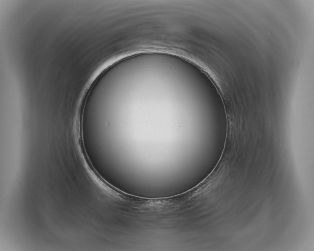 X0000113151531200909110944