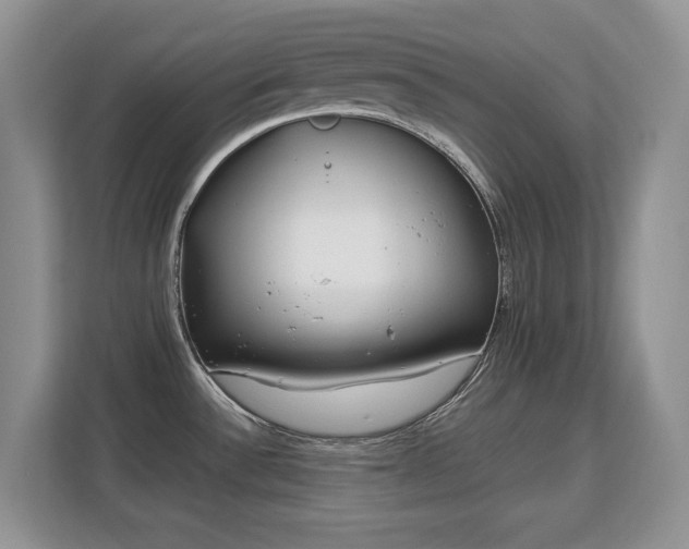 X0000113151532200909110944