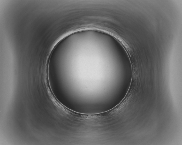 X0000113151534200909110944