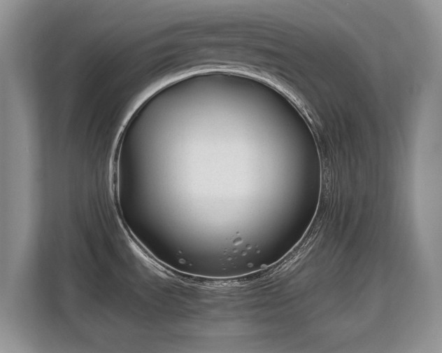 X0000113151535200909110944