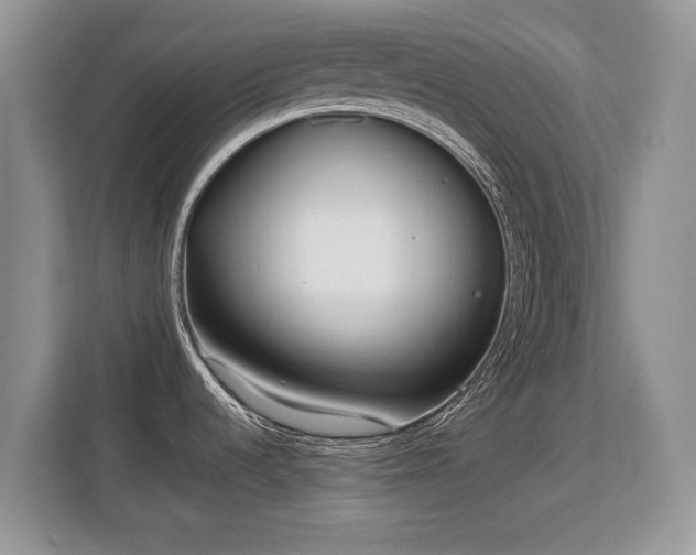 X0000113151536200909110944