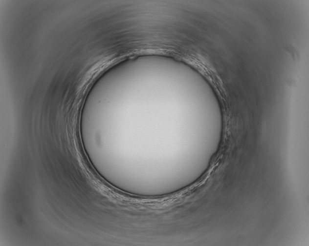 X0000113150001200909181800