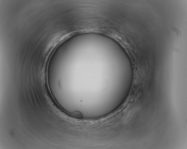 X0000113150002200909181800