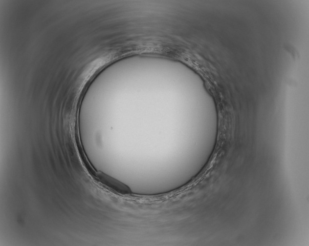 X0000113150003200909181800