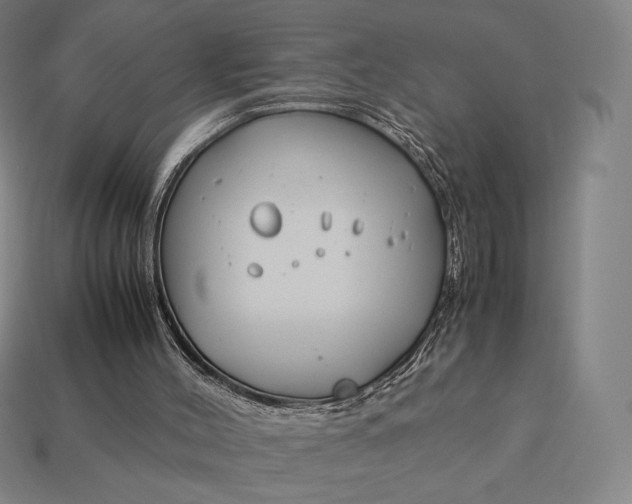 X0000113150004200909181800