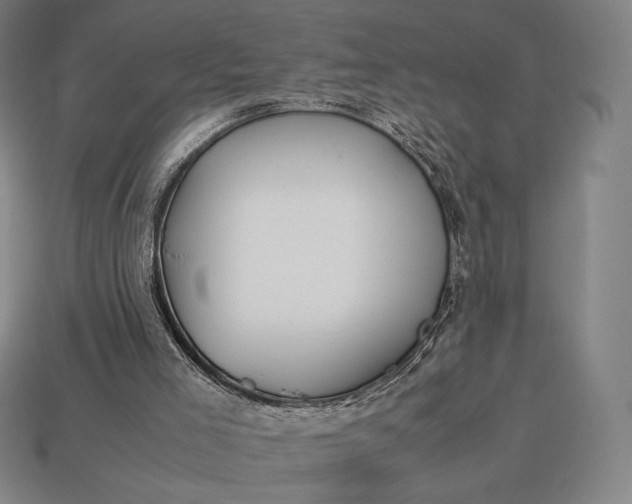 X0000113150005200909181800