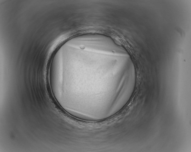 X0000113150006200909181800