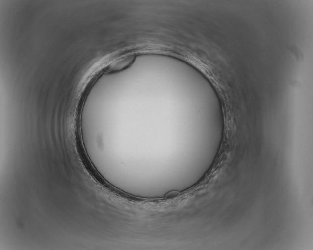 X0000113150007200909181800