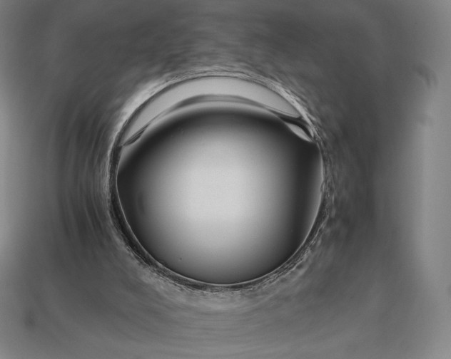 X0000113150008200909181800