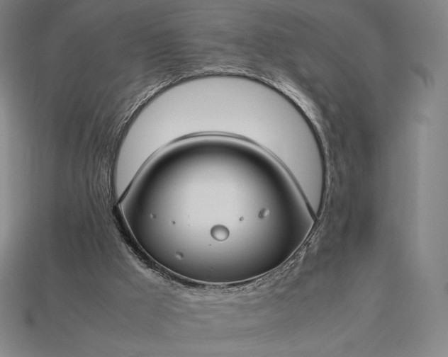 X0000113150009200909181800