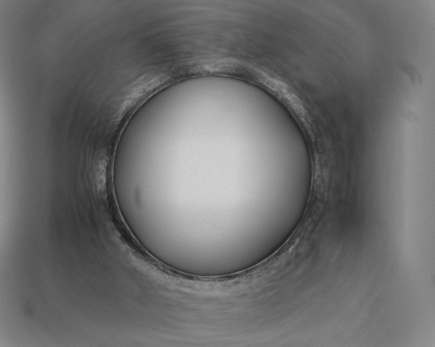 X0000113150010200909181800