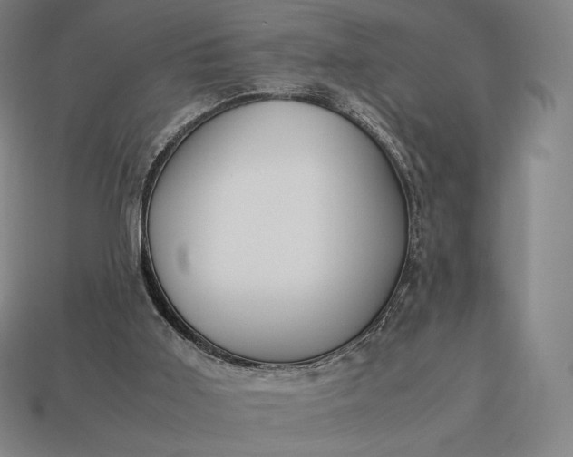 X0000113150011200909181800