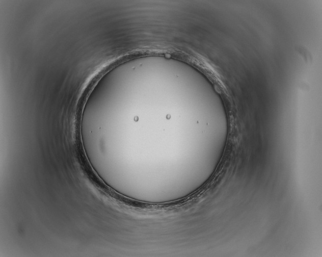 X0000113150012200909181800