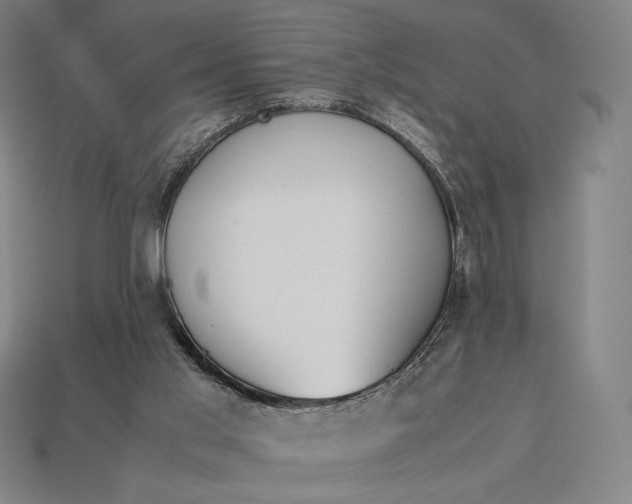 X0000113150013200909181800