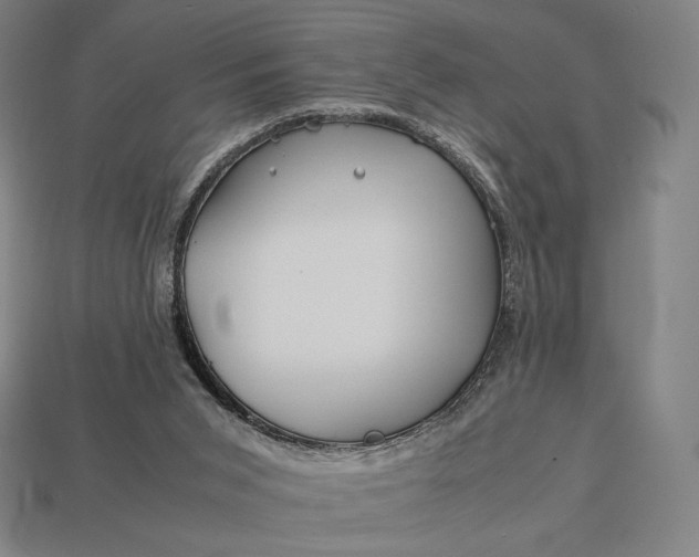 X0000113150015200909181800