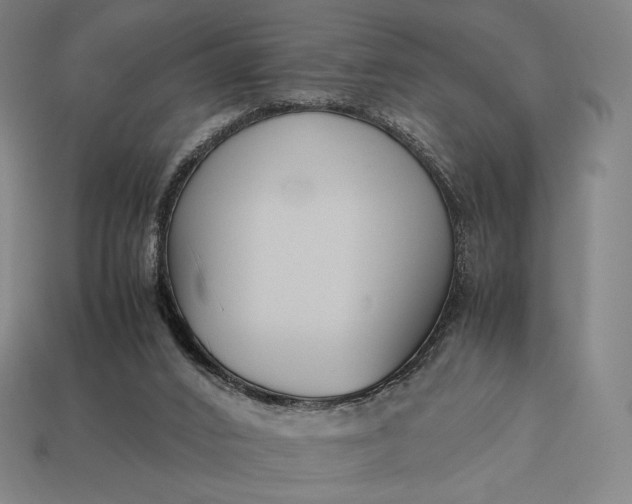 X0000113150016200909181800