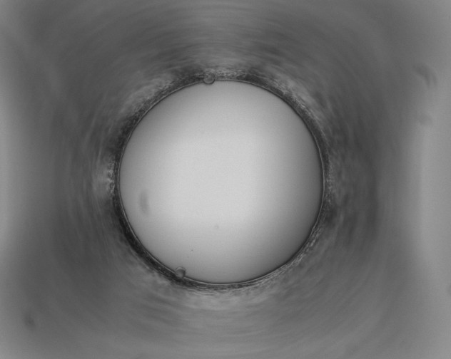 X0000113150017200909181800