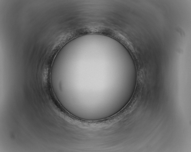 X0000113150018200909181800