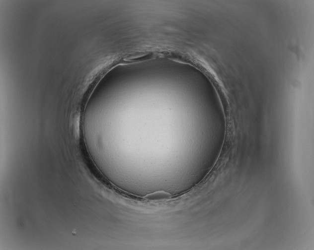 X0000113150019200909181800