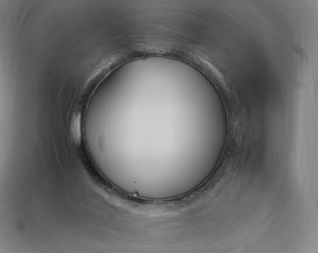 X0000113150020200909181800