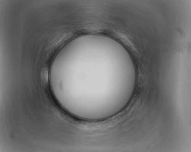 X0000113150021200909181800