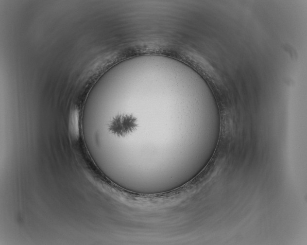 X0000113150022200909181800