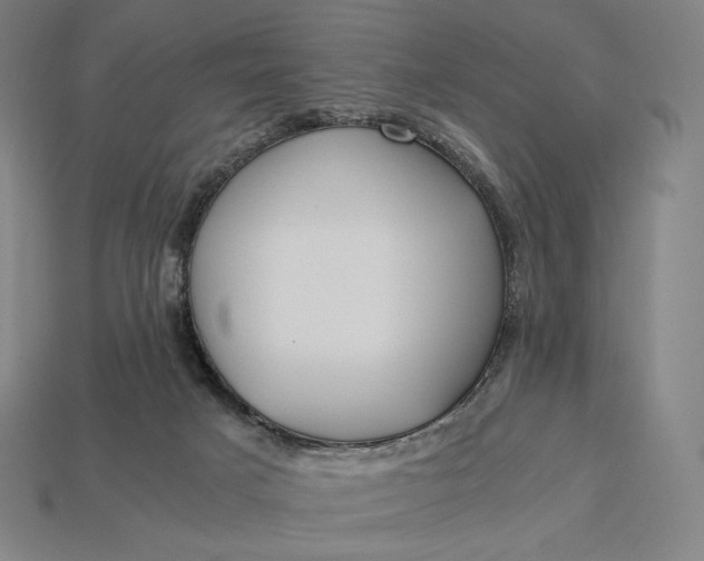 X0000113150025200909181759