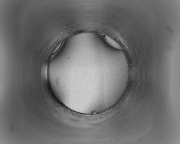 X0000113150027200909181759