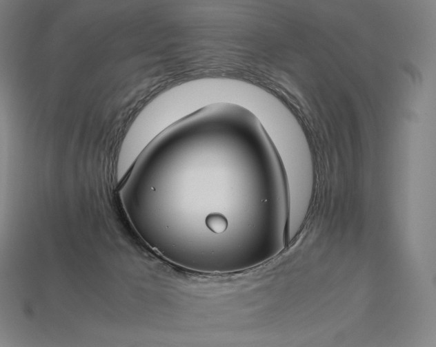 X0000113150029200909181759