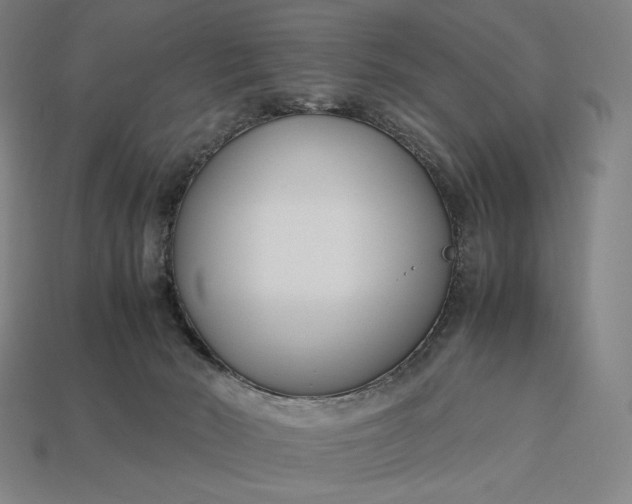 X0000113150030200909181759