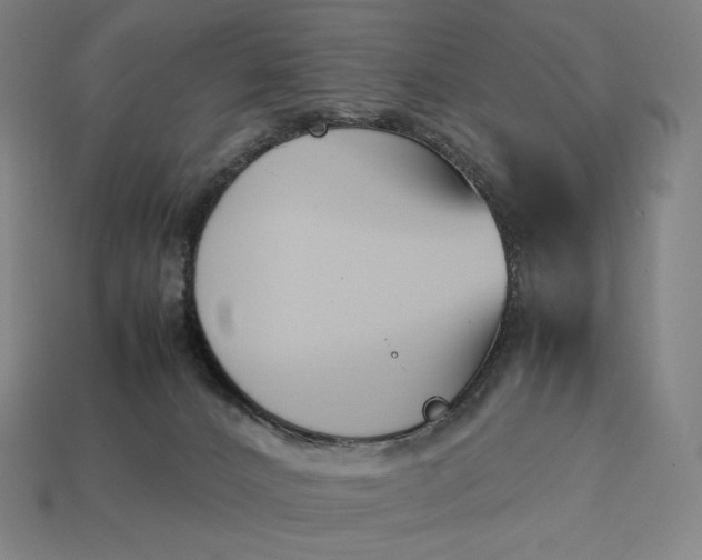 X0000113150032200909181759