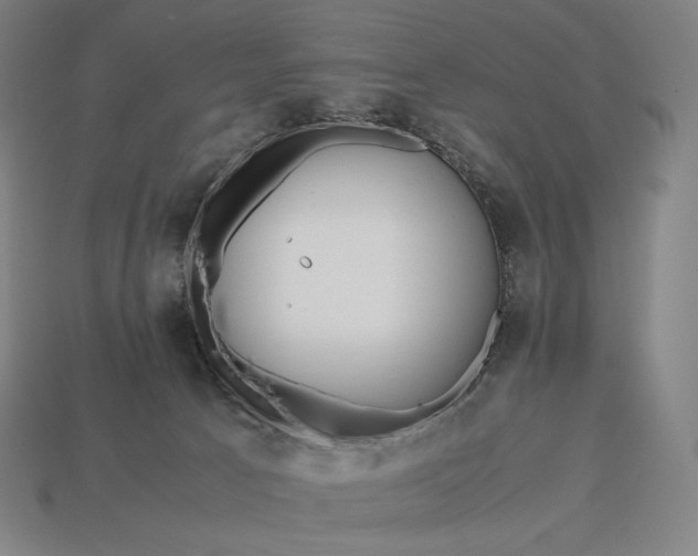 X0000113150033200909181759