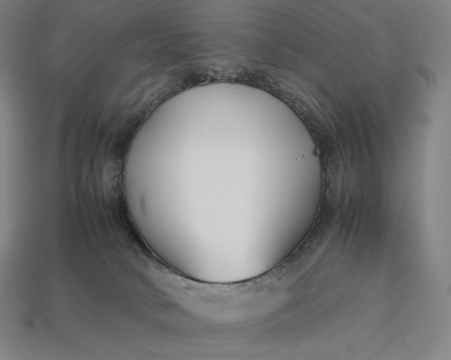 X0000113150034200909181759