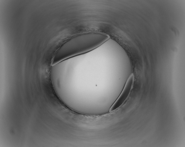 X0000113150037200909181759