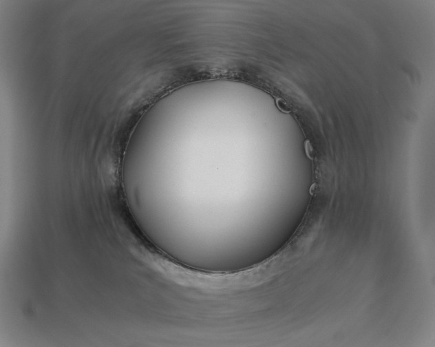 X0000113150039200909181759