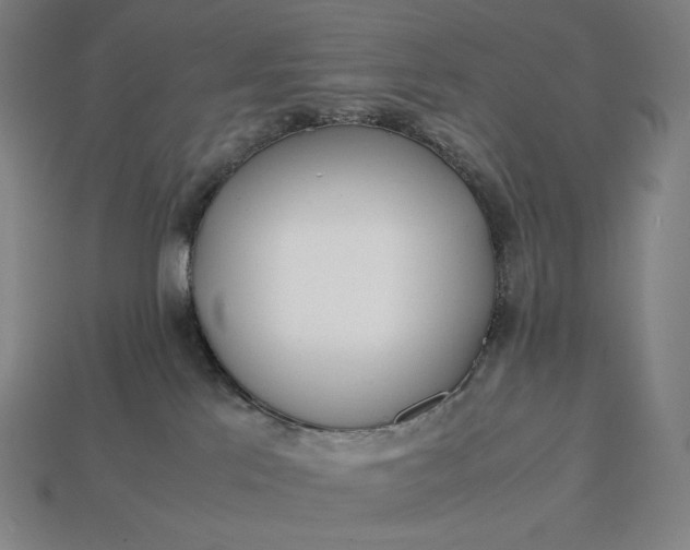 X0000113150041200909181759