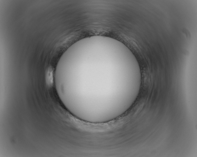 X0000113150042200909181759