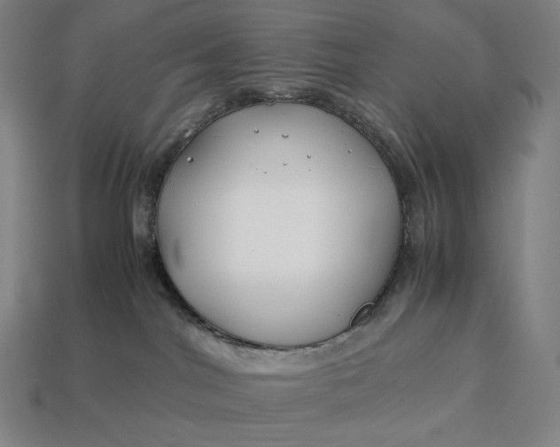 X0000113150044200909181759