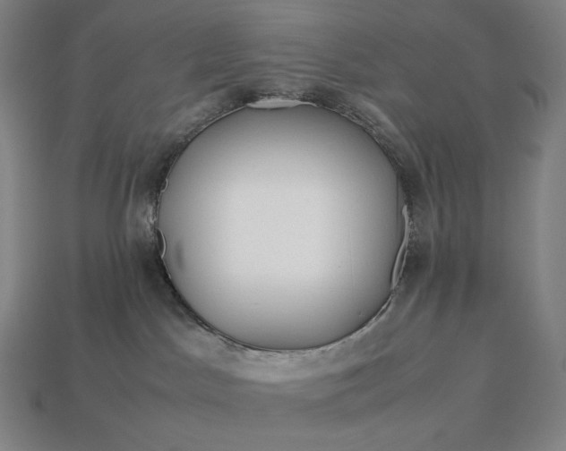 X0000113150045200909181759