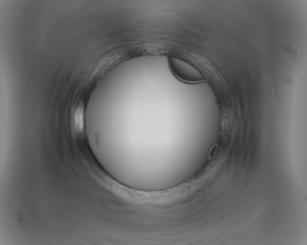 X0000113150046200909181759