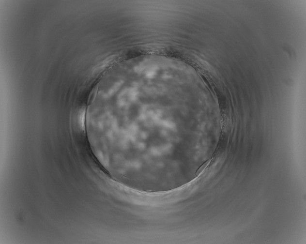 X0000113150047200909181759