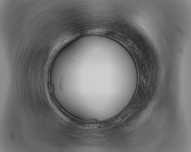 X0000113150049200909181759