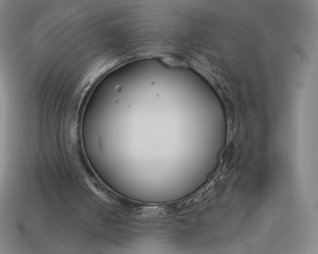 X0000113150050200909181759