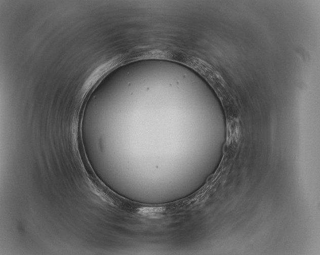 X0000113150051200909181759