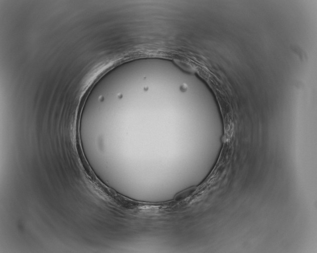 X0000113150052200909181759