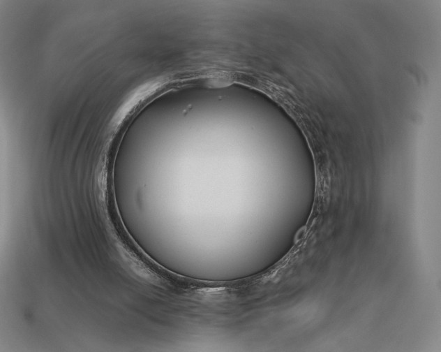 X0000113150054200909181759