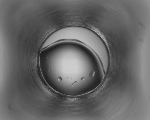 X0000113150057200909181759